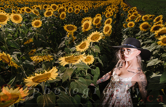 Be Your Own Sun