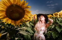 Be Your Own Sun
