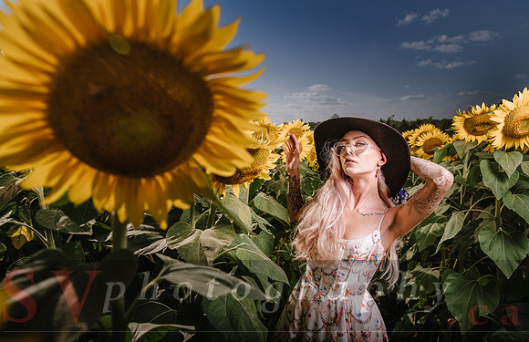 Be Your Own Sun