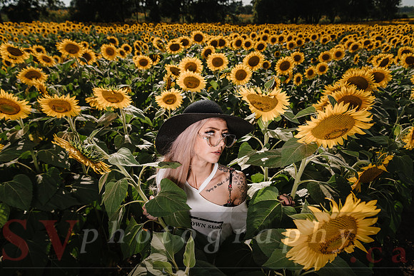 Be Your Own Sun