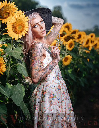 Be Your Own Sun