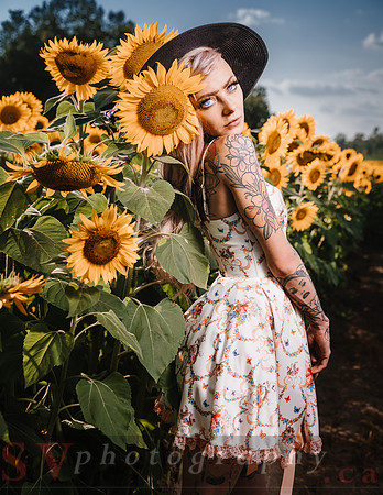 Be Your Own Sun