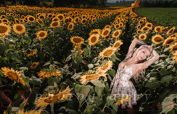 Be Your Own Sun
