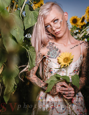 Be Your Own Sun