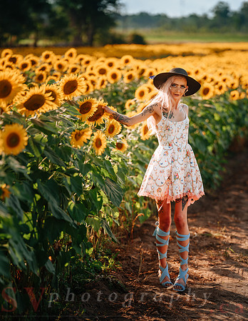 Be Your Own Sun