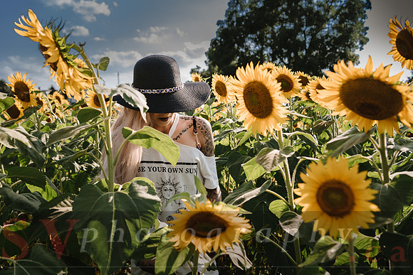 Be Your Own Sun