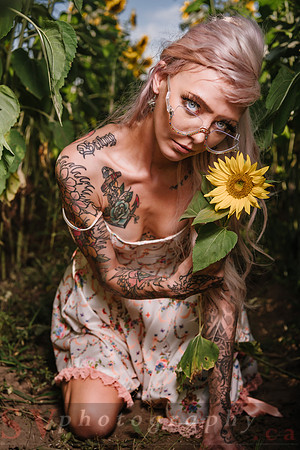 Be Your Own Sun
