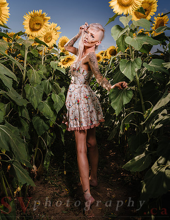 Be Your Own Sun