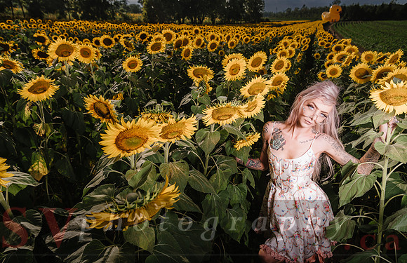 Be Your Own Sun