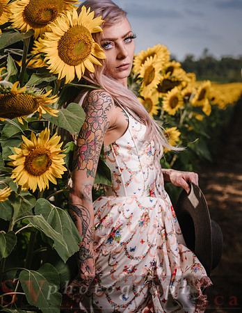Be Your Own Sun