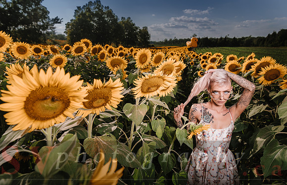 Be Your Own Sun
