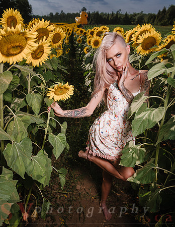 Be Your Own Sun