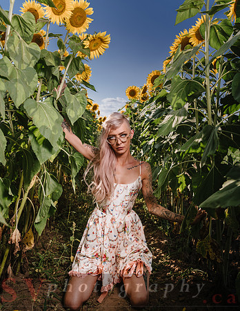 Be Your Own Sun