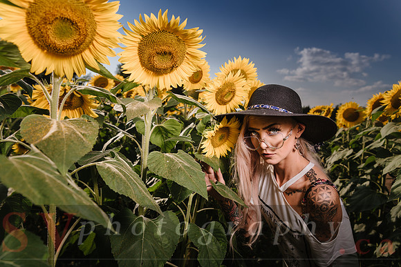 Be Your Own Sun