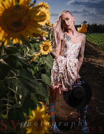 Be Your Own Sun