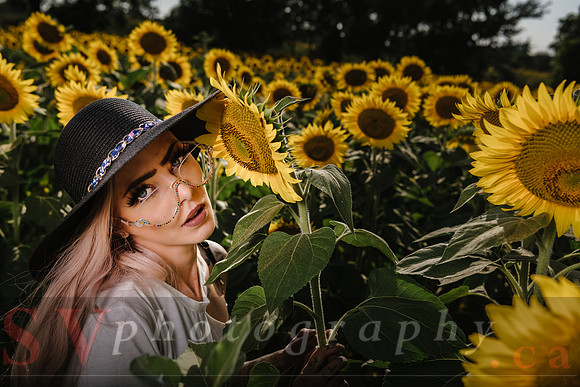 Be Your Own Sun