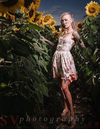 Be Your Own Sun