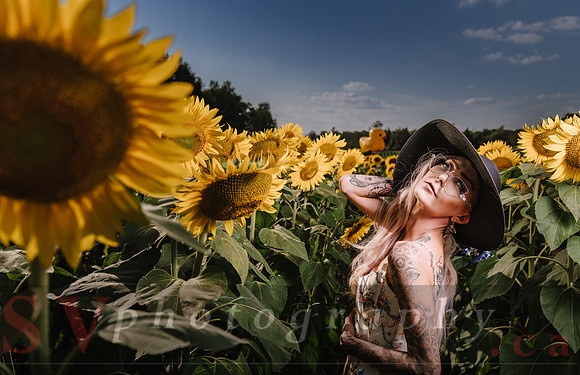 Be Your Own Sun
