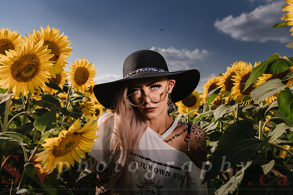 Be Your Own Sun