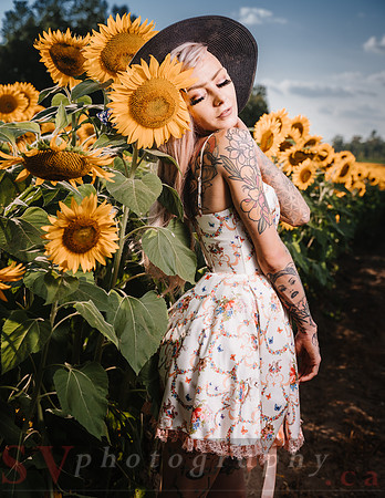 Be Your Own Sun