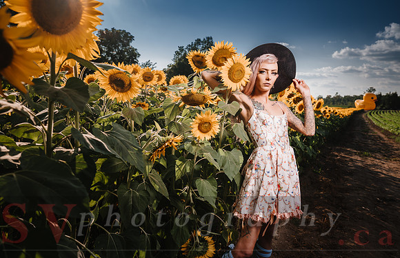 Be Your Own Sun