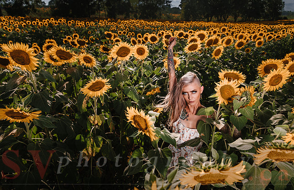 Be Your Own Sun