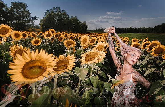 Be Your Own Sun