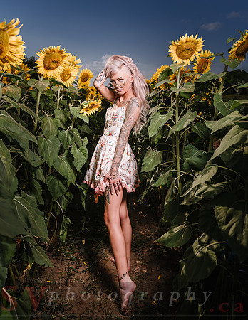 Be Your Own Sun