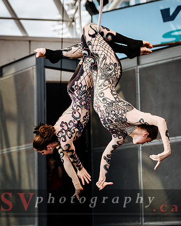 Zero Gravity