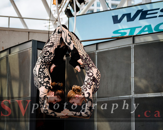 Zero Gravity