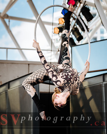Zero Gravity