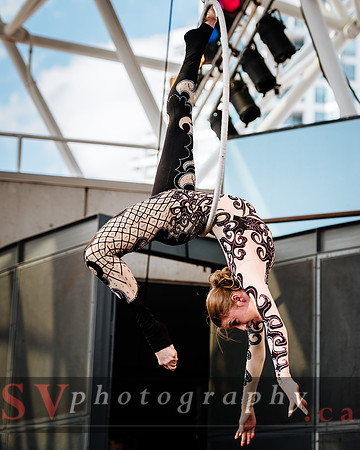 Zero Gravity