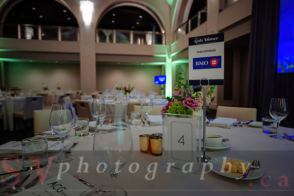 ACG Toronto Gala Dinner
