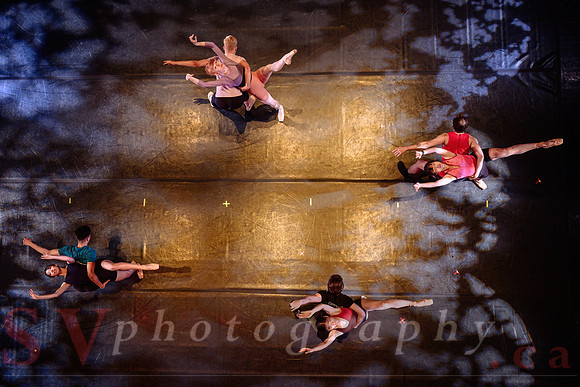 Celebration of Black CanadianChoreographers