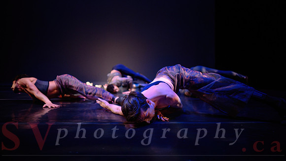 Celebration of Black CanadianChoreographers