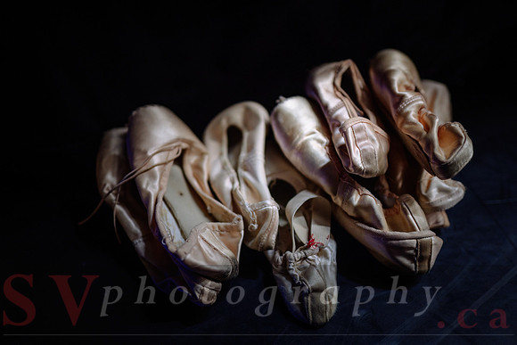 Celebration of Black CanadianChoreographers
