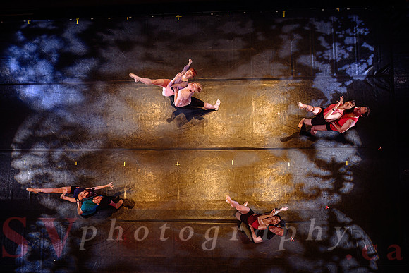 Celebration of Black CanadianChoreographers