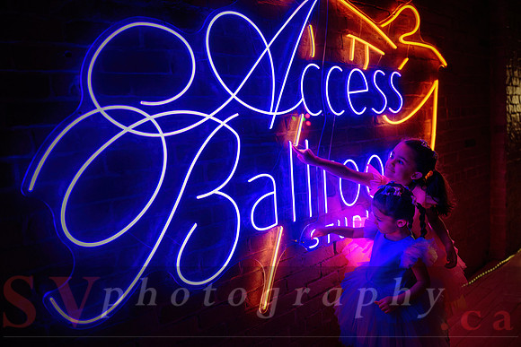 Access Bookroom - annual Christmas Social Dance Party