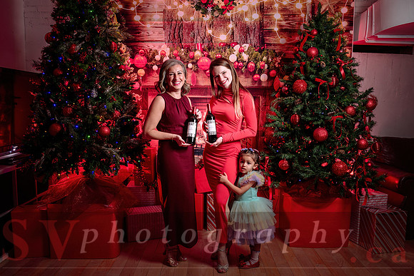 Access Bookroom - annual Christmas Social Dance Party
