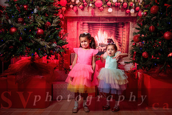Access Bookroom - annual Christmas Social Dance Party