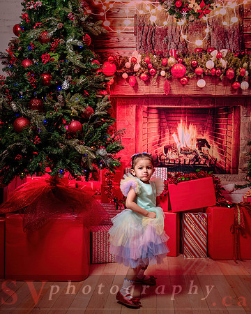 Access Bookroom - annual Christmas Social Dance Party