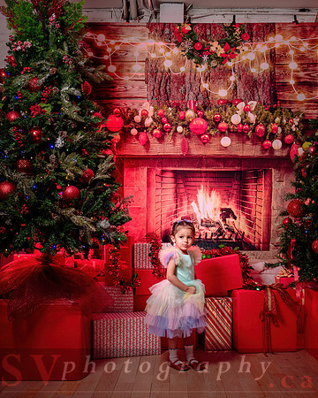 Access Bookroom - annual Christmas Social Dance Party