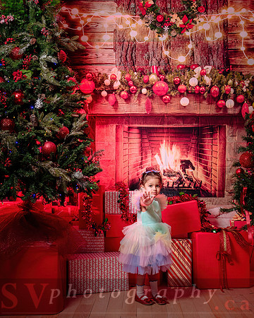 Access Bookroom - annual Christmas Social Dance Party