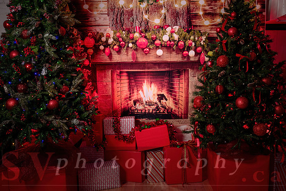 Access Bookroom - annual Christmas Social Dance Party