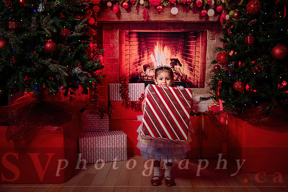 Access Bookroom - annual Christmas Social Dance Party