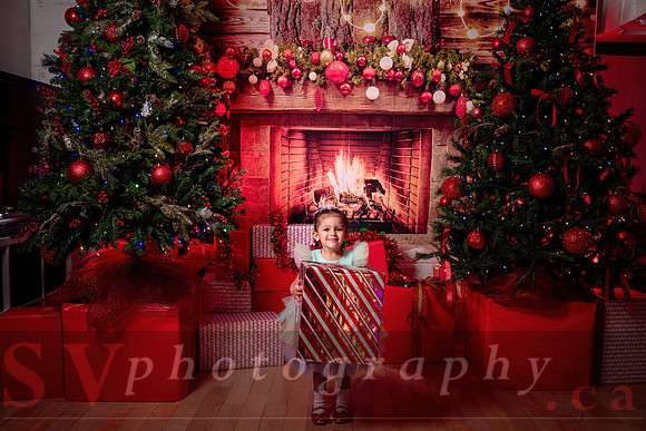 Access Bookroom - annual Christmas Social Dance Party