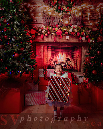 Access Bookroom - annual Christmas Social Dance Party