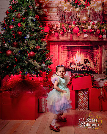 Access Bookroom - annual Christmas Social Dance Party