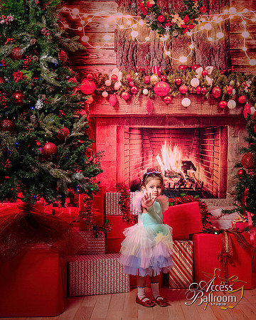 Access Bookroom - annual Christmas Social Dance Party