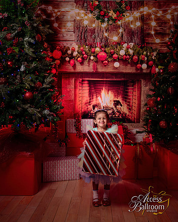 Access Bookroom - annual Christmas Social Dance Party